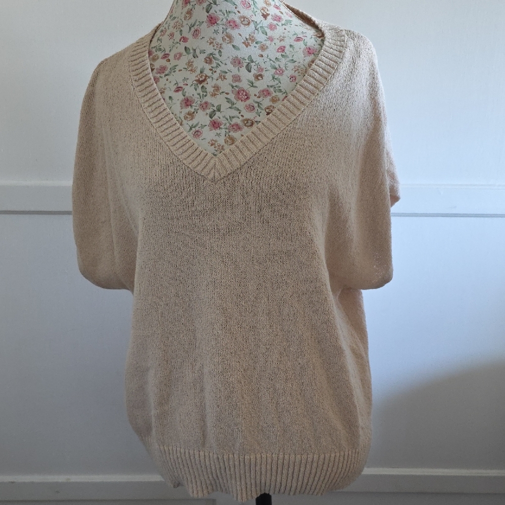 Ann Taylor Soft Beige V-Neck Sweater Size XL